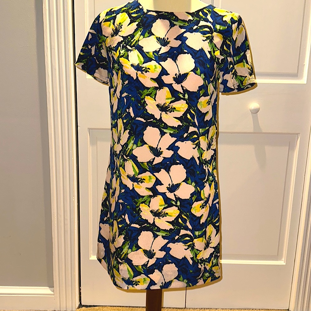 Beautiful J. Crew Floral dress Size 2P